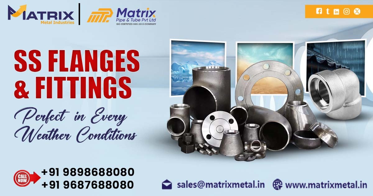 Stainless Steel Flanges and Fittings in Bhopal